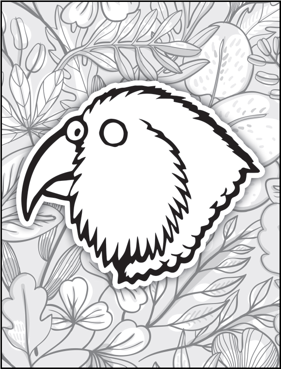 Download Kea colouring in page | Healthy Kids